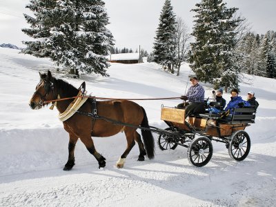 Eine Kutsche mit mehreren Personen wird von einem Pferd durch den Schnee gezogen.
