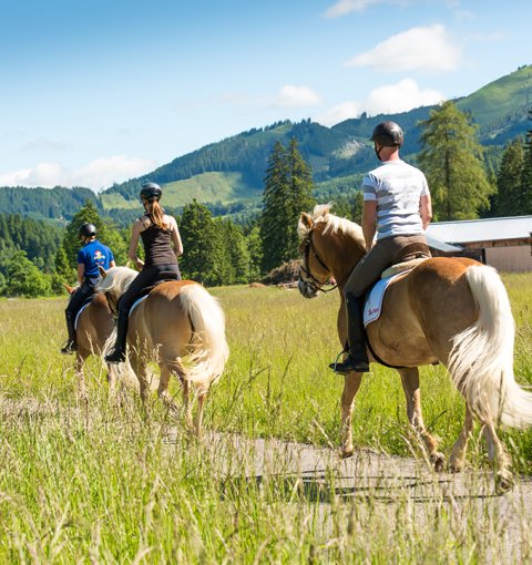 Drei Reiter auf Pferden reiten durch eine Wiese mit Bergen im Hintergrund.