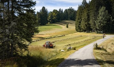 Wunderschöne Naturlandschaft mit Traktor ums Hotel.
